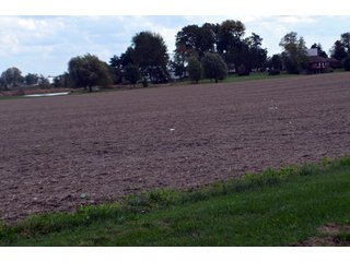 Property photo 90 - EHLE FARMS AUCTION - 118+/- ACRES IN 9 TRACTS IN ALLEN COUNTY, INDIANA